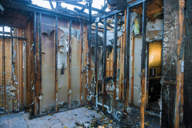 Professional Smoke Damage Removal technician working in Dayton, NJ