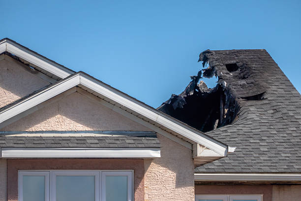 Top rated local Smoke Damage Removal specialists in Dayton, NJ